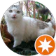 Aslı Işık profil fotoğrafı
