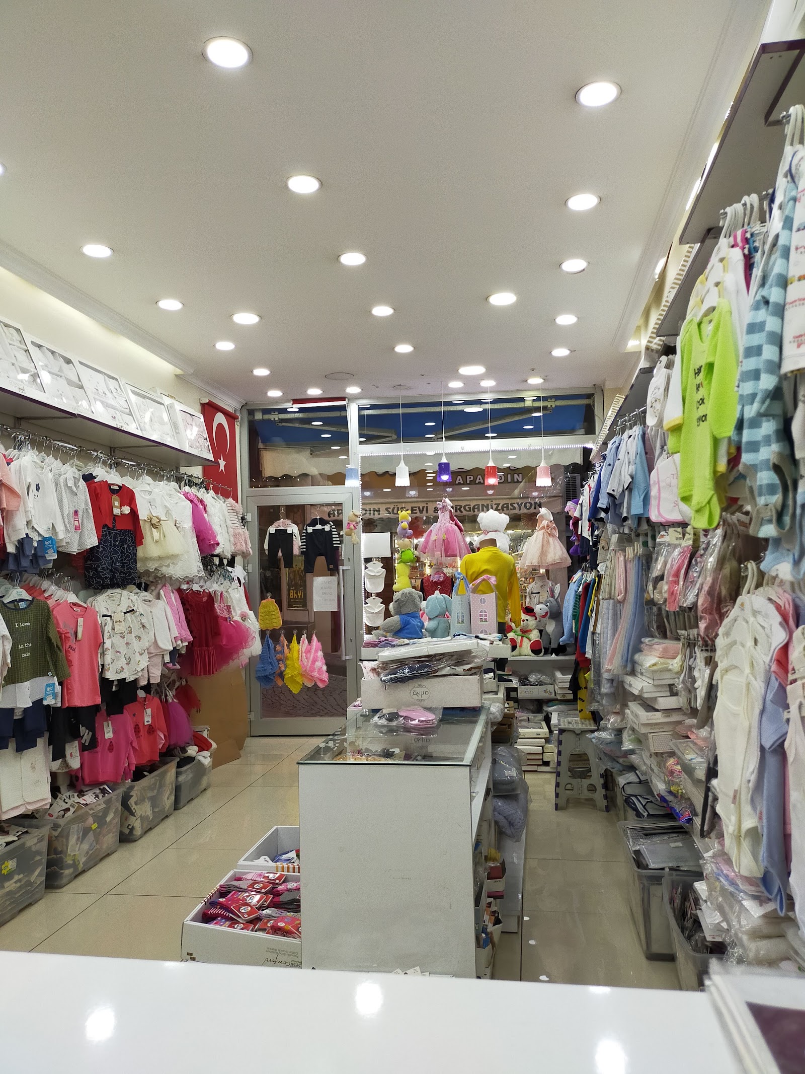 AVM apaydin