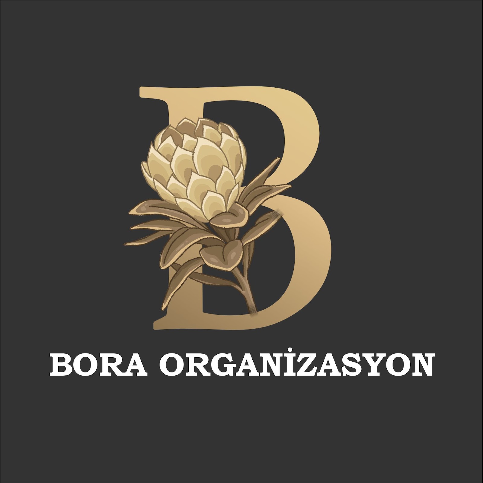 Bora Organizasyon kır düğünü mekanı — Piraziz