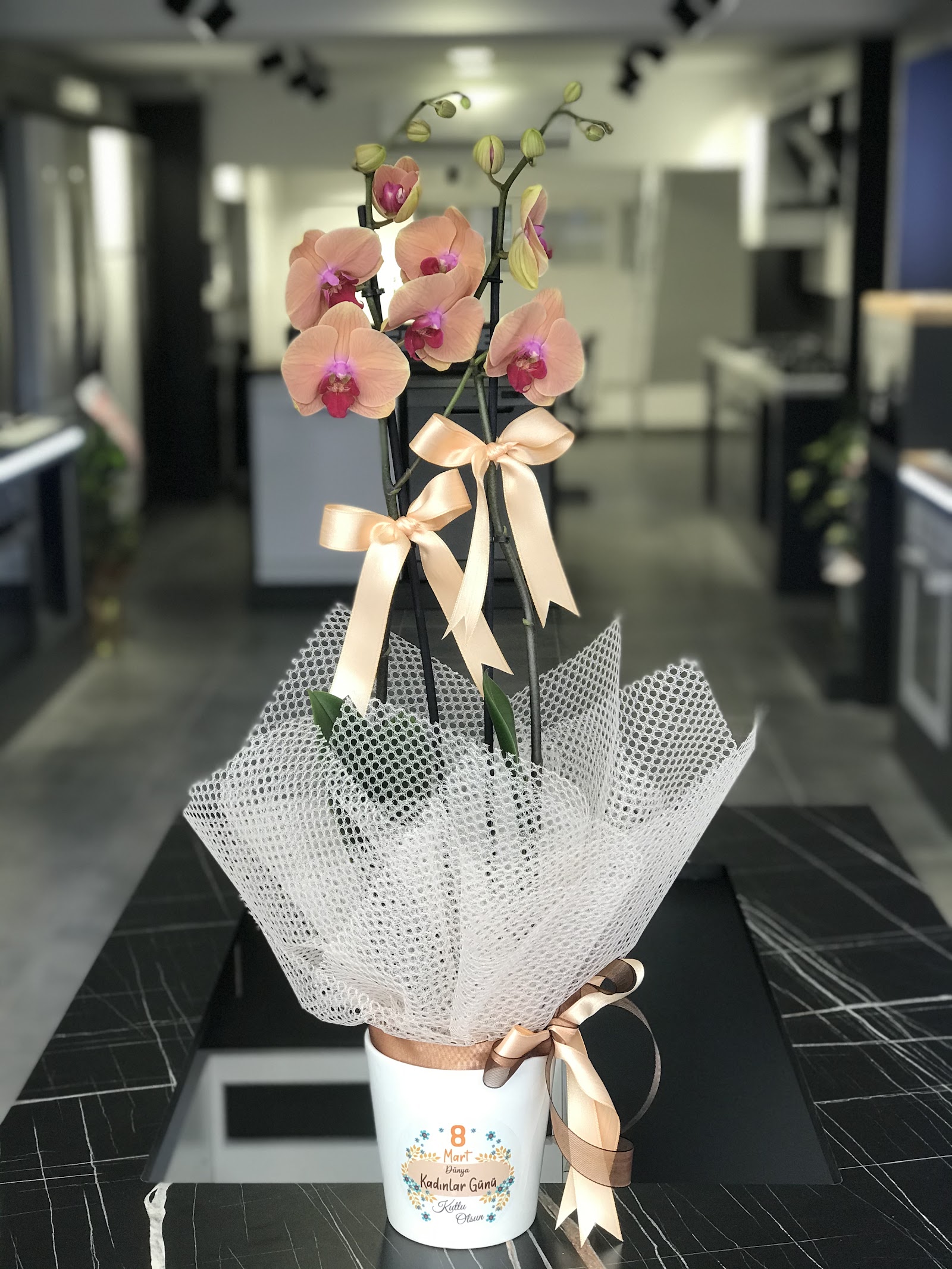 Cyprus Florist