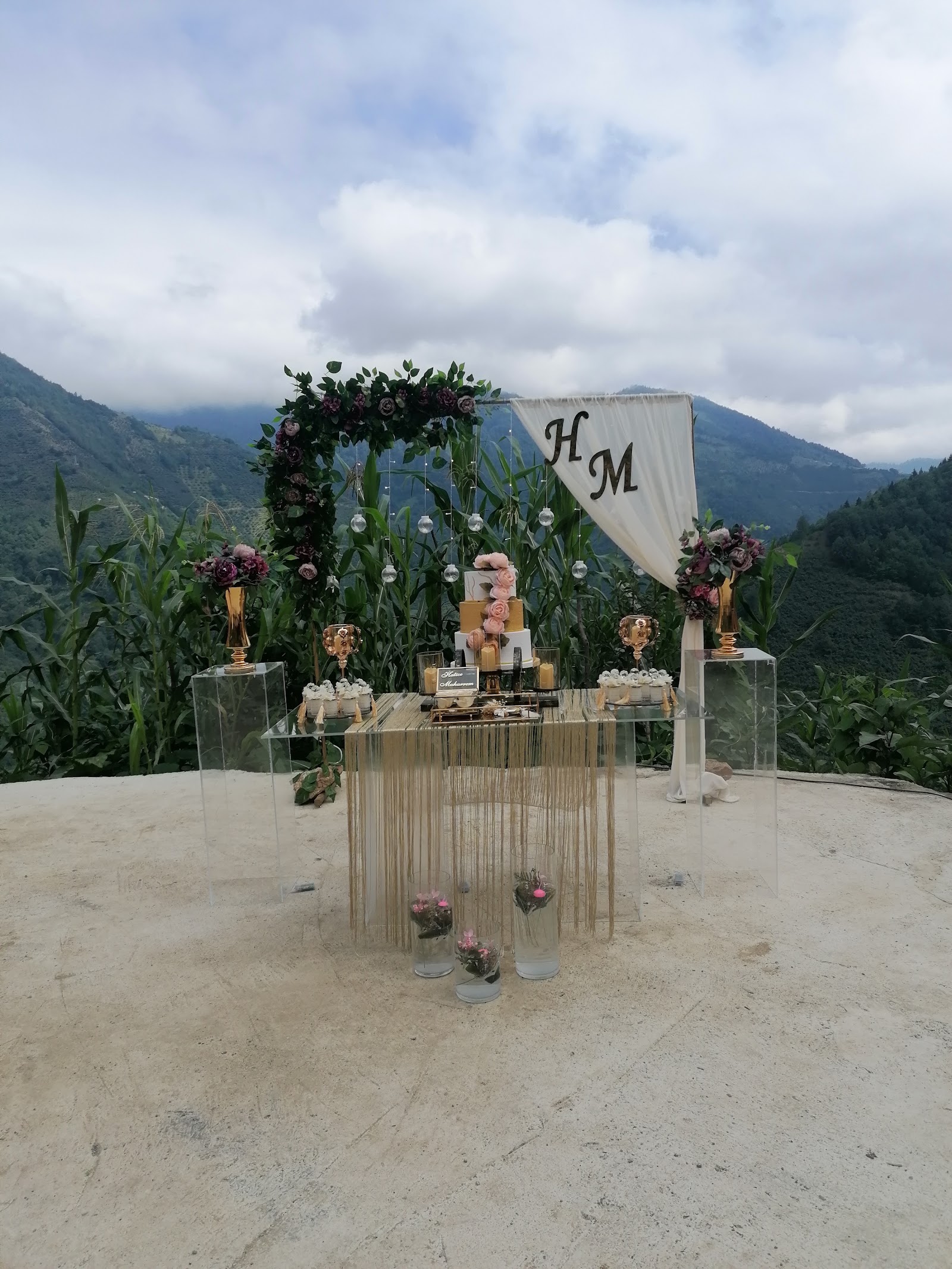 Ruya Organizasyon giresun