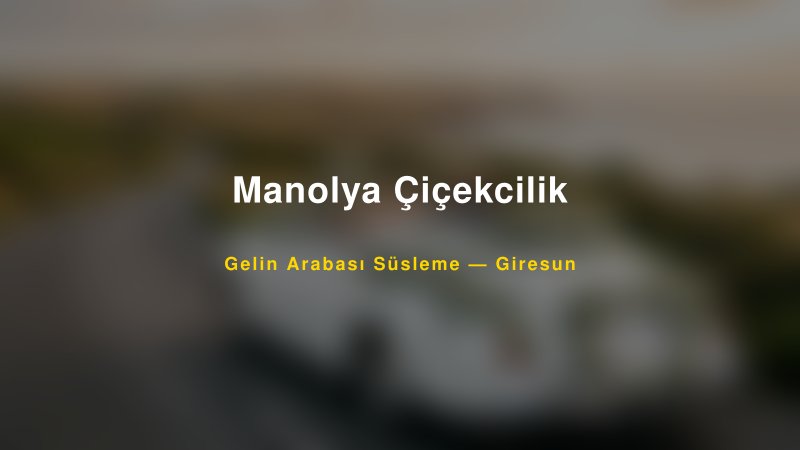 Manolya Çiçekcilik Giresun Gelin Arabası Süsleme
