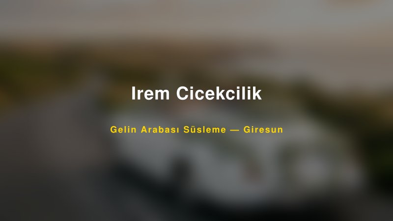 Irem Cicekcilik Gelin Arabası Süsleme Fiyatları — 1