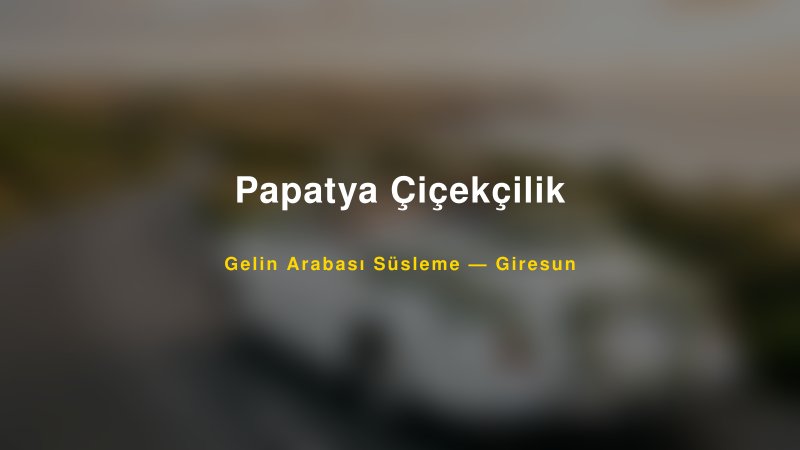 Papatya Çiçekçilik ile Trend Gelin Arabası Yazıları ve Konseptleri — 1